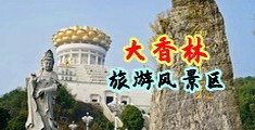 小骚逼快点啊视频中国浙江-绍兴大香林旅游风景区